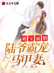 萌宝逼婚：陆爷霸宠马甲妻